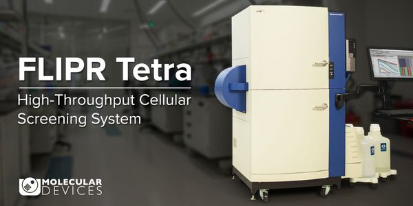 FLIPR 1536-well application in high throughput screening