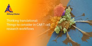 Thinking translational: Things to consider in CAR T cell research workflows