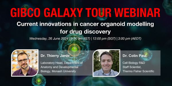 Current innovations in cancer organoid modelling for drug discovery