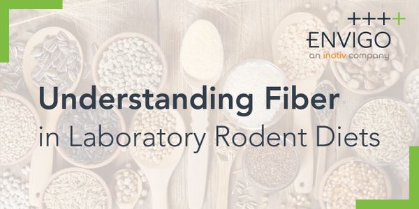 Understanding Fiber in Laboratory Rodent Diets - Definitions, Measurements, and Adjustments