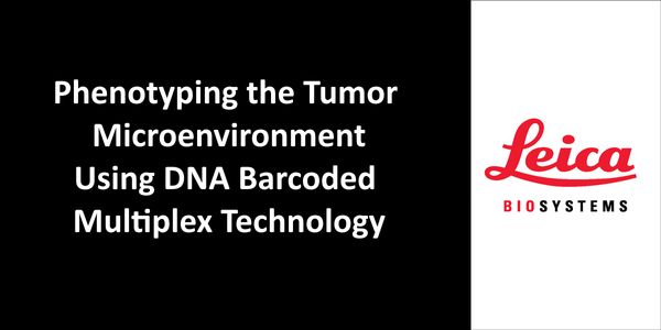 Phenotyping the Tumor Microenvironment Using DNA Barcoded Multiplex Technology