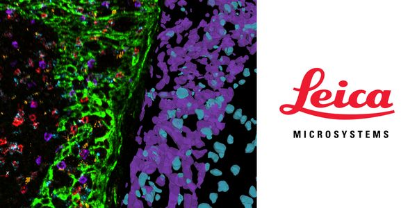 3D Spatial Biology Insights Simplified with AI