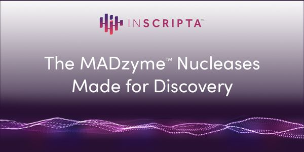 The MAD7™ nuclease in plant editing: overcoming CRISPR bottlenecks with MAD TiGER