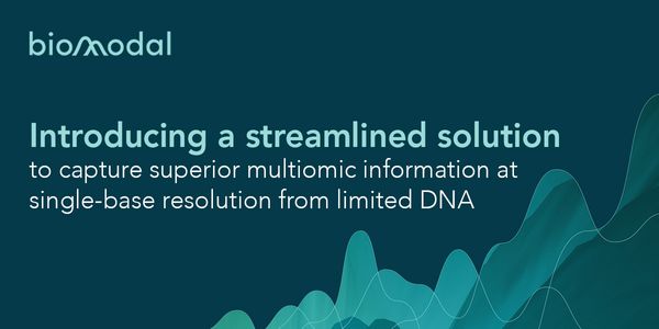 Introducing a streamlined solution to capture superior multiomic information at single-base resolution from limited DNA