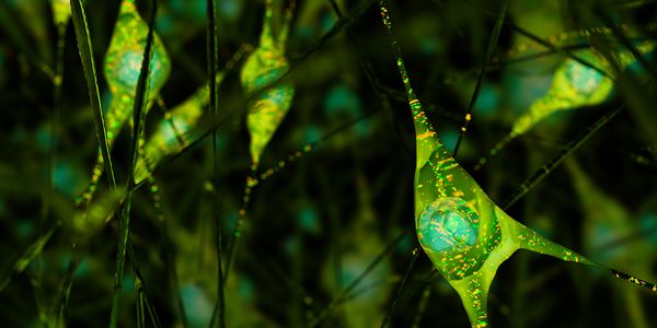 Biofluid-based biomarkers for neurological disease