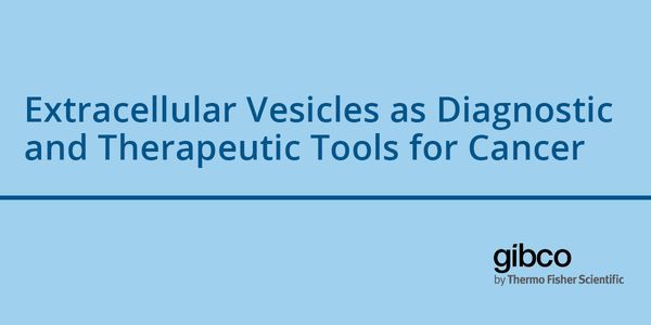 Extracellular Vesicles as Diagnostic and Therapeutic Tools for Cancer
