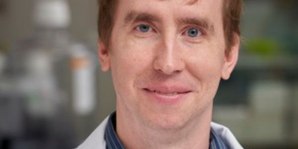 Multiplex Immunoassay Detection of Alzheimer's Disease Biomarkers in Cerebrospinal Fluid, Plasma, and Serum