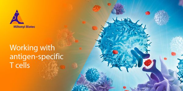Working with antigen-specific T cells