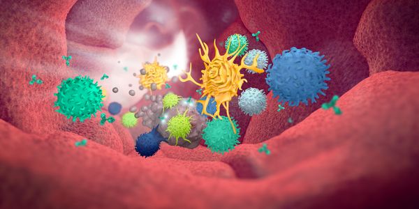 Understanding how in vitro macrophage assays drive IO drug development forward