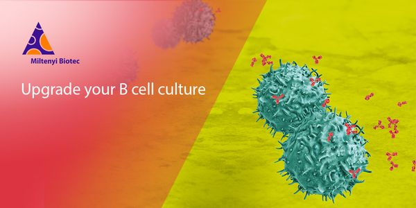Upgrade your B cell culture