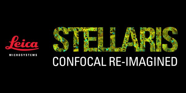 Get Closer to the Truth: STELLARIS - Confocal Re-Imagined