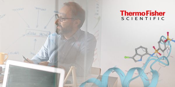 Turn on the lights in cryo-FIB tomography sample preparation