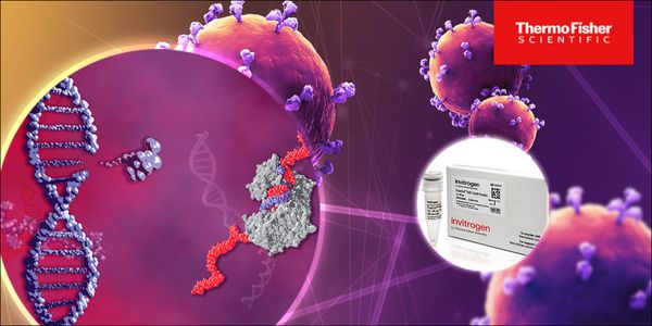 The growing concern of off-target effects: How to measure and minimize off-target effects in your genome editing experiments.