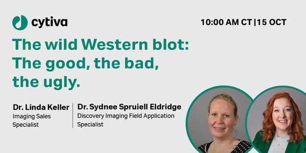 The wild Western blot: The good, the bad, and the ugly