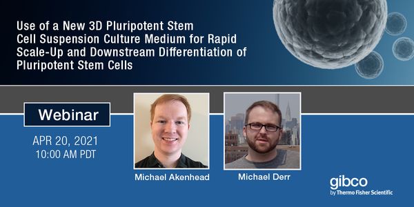 Use of a New 3D Pluripotent Stem Cell Suspension Culture Medium for Rapid Scale-Up and Downstream Differentiation of Pluripotent Stem Cells