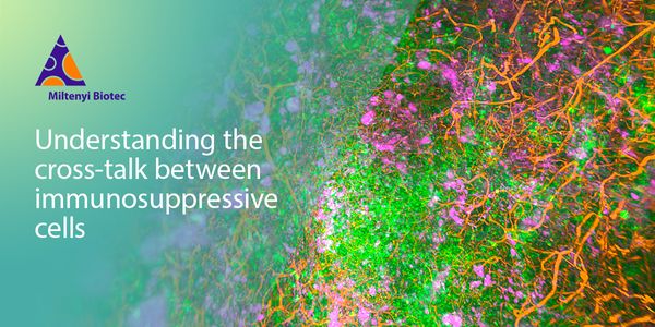 Deciphering the cross-talk between immunosuppressive cells in pancreatic cancer using 3D light sheet microscopy