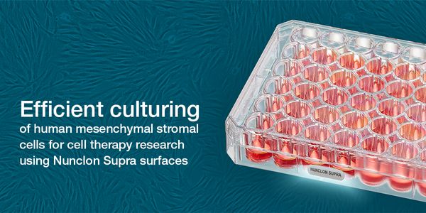 Efficient culturing of human mesenchymal stromal cells for cell therapy research