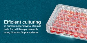 Efficient culturing of human mesenchymal stromal cells for cell therapy research