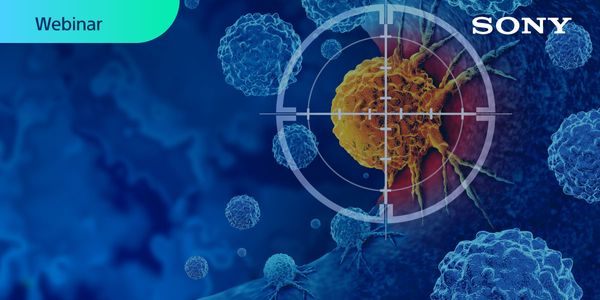 Reaching Precision in Cancer Therapy Through Patient-Derived MicroOrganoSpheres, Flow Cytometry Analysis, and Molecular Profiling