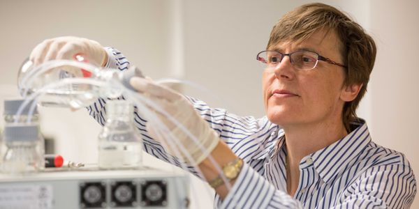 Post-translational Modifications and Data-Independent Acquisitions - Challenges and Opportunities