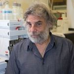 Multi-Omics Approach for Discovering Anti-Folate Drug Resistance Mechanisms in Triple-Negative Breast Cancer: Working Toward the Goal of Personalized Medicine