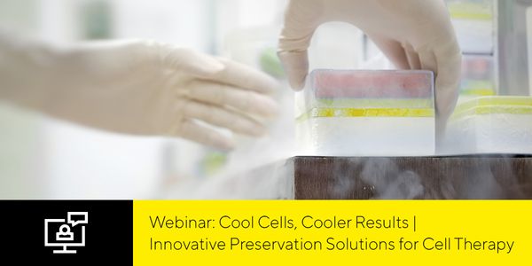 Cool Cells, Cooler Results | Innovative Preservation Solutions for Cell Therapy