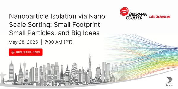 Nanoparticle Isolation via Nano Scale Sorting: Small Footprint, Small Particles, and Big Ideas