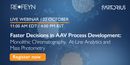 Faster Decisions in AAV Process Development: Monolithic Chromatography, At-Line Analytics, and Mass Photometry