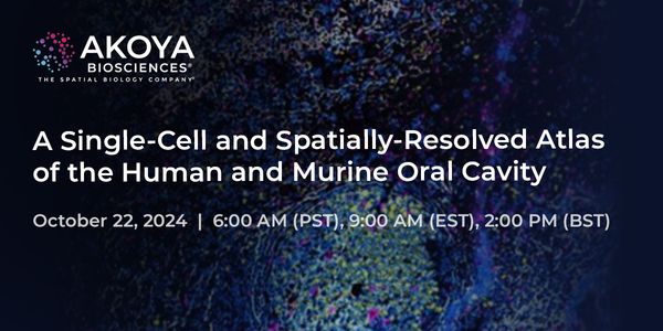A Single-Cell and Spatially-Resolved Atlas of the Human and Murine Oral Cavity