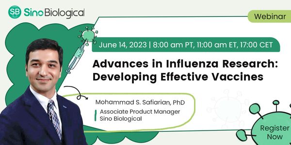 Advances in Influenza Research: Developing Effective Vaccines