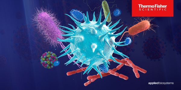 Real time PCR for molecular detection and research of infectious disease pathogens beyond SARS-COV-2