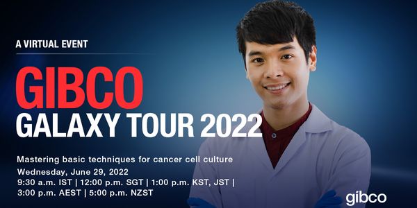 Mastering basic techniques for cancer cell culture