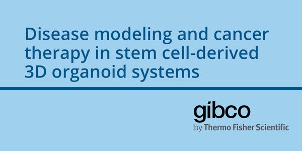 Disease modeling and cancer therapy in stem cell-derived 3D organoid systems