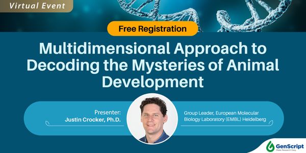 Multidimensional Approach to Decoding the Mysteries of Animal Development