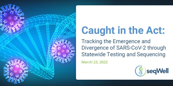 Caught in the Act:  Tracking the Emergence and Divergence of SARS-CoV-2 through Statewide Testing and Sequencing