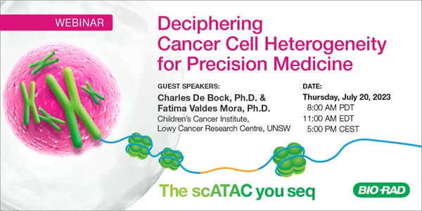 Deciphering Cancer Cell Heterogeneity for Precision Medicine