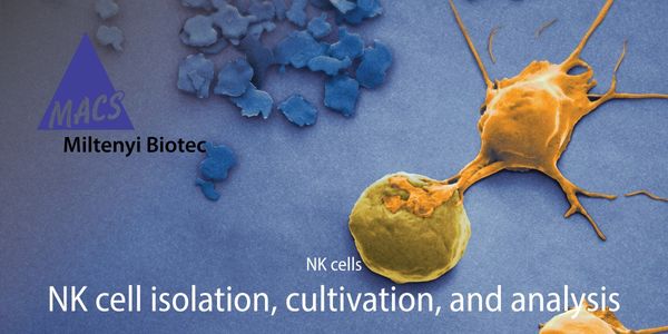 Tools to Empower Your (CAR) NK Cell Research