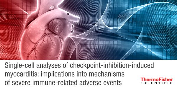 Single-cell analyses of checkpoint-inhibition-induced myocarditis: implications into mechanisms of severe immune-related adverse events