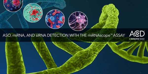 Visualize ASO, miRNA, and siRNA Detections with Spatial Resolution using the New miRNAscope™ Assay