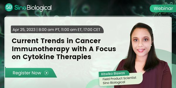 Current Trends in Cancer Immunotherapy with A Focus on Cytokine Therapies