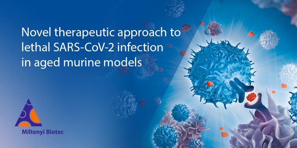 Novel therapeutic approach to lethal SARS-CoV-2 infection in aged murine models