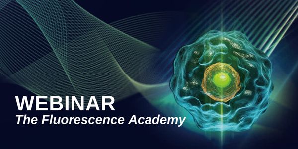 Modeling the midbrain floor plate and mature dopaminergic neurons with human pluripotent stem cells in 3-D