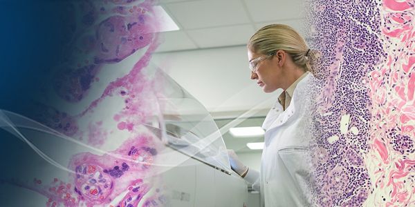 Fundamentals of Hematoxylin and Eosin Staining