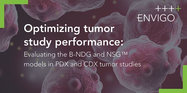 Optimizing tumor study performance:  Evaluating the B-NDG & NSG™ models in PDX and CDX tumor studies.