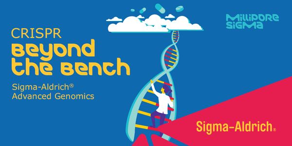 From Bench to Bedside: Targeted Gene Editing