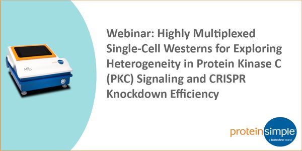 Highly Multiplexed Single-Cell Westerns for Exploring Heterogeneity in Protein Kinase C (PKC) Signaling and CRISPR Knockdown Efficiency