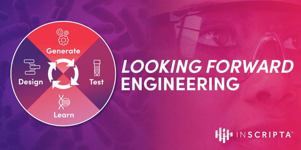 Newton's Cradle: Exploring rational and empirical design space with Engineering Biology