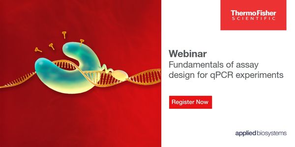 Fundamentals of Assay Design for Quantitative Real-Time PCR