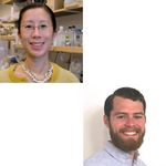 Applications of targeted NGS panels for clinical research of primary immunodeficiency diseases