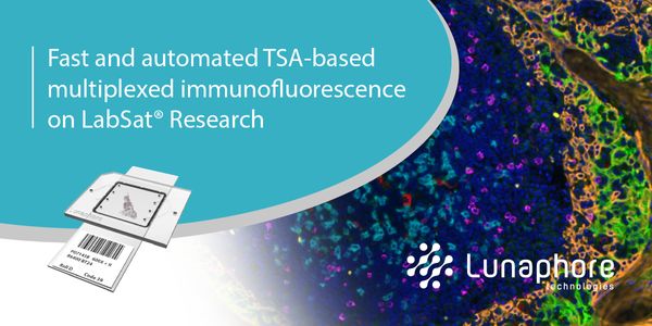 Fast and automated TSA-based multiplexed immunofluorescence on LabSat® Research